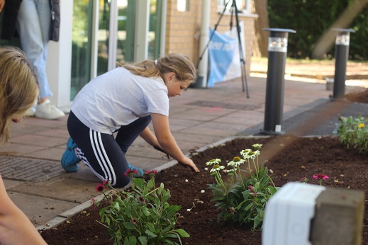 Image of planting taking place at Norton Canes library