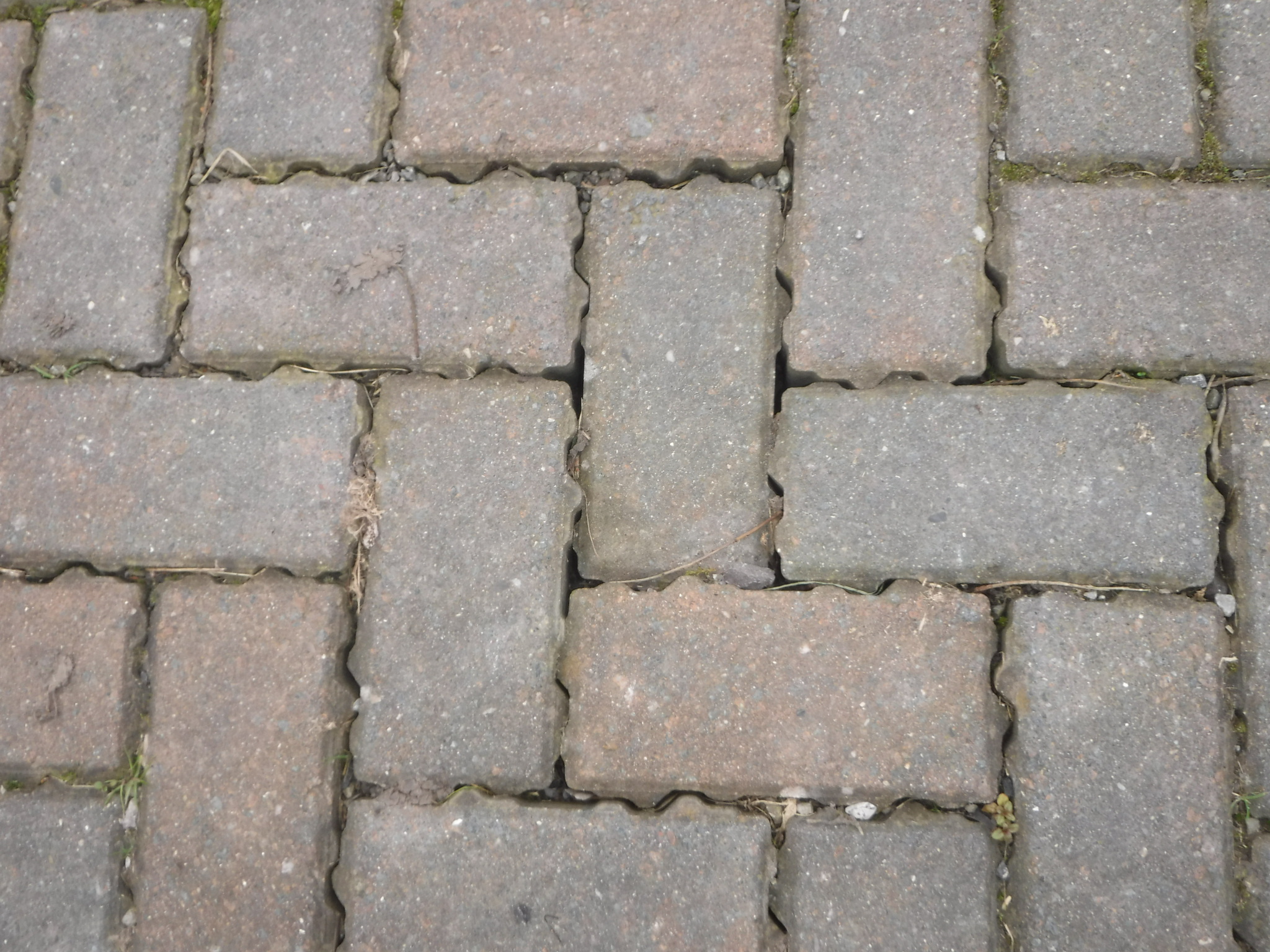 Closeup of some installed permeable paving