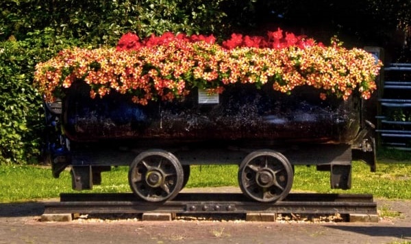 An image of a flowerbed inside a wheeled trolley