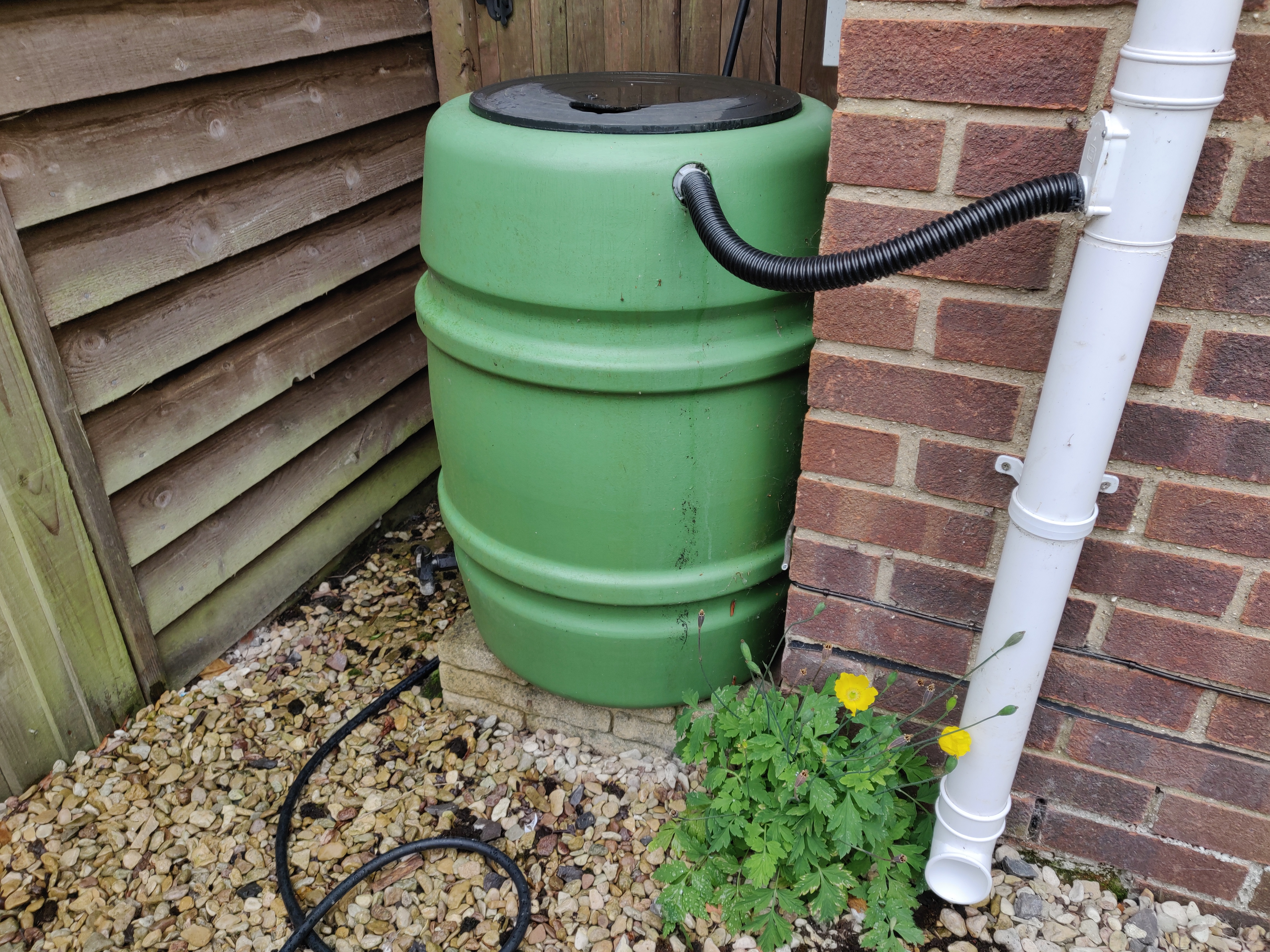 Closeup image of a water butt connected to a downpipe